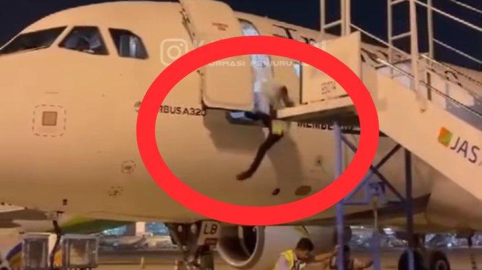 Gara-Gara Miskomunikasi, Petugas PT JAS Jatuh dari Pintu Pesawat di Bandara Soekarno-Hatta