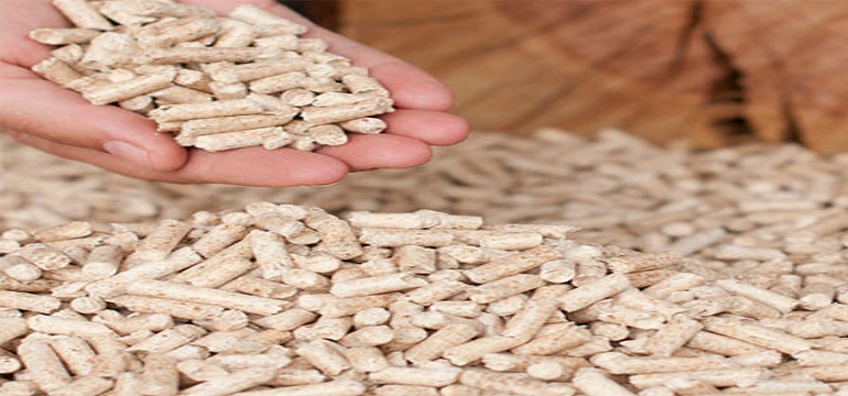 Manfaat dan  Keunggulan  Wood Pellet  untuk Rumah  Tangga  dan Industri