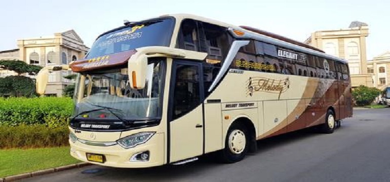 Tips sebelum Memilih Jasa Sewa Bus Pariwisata Terbaik dan Terpercaya