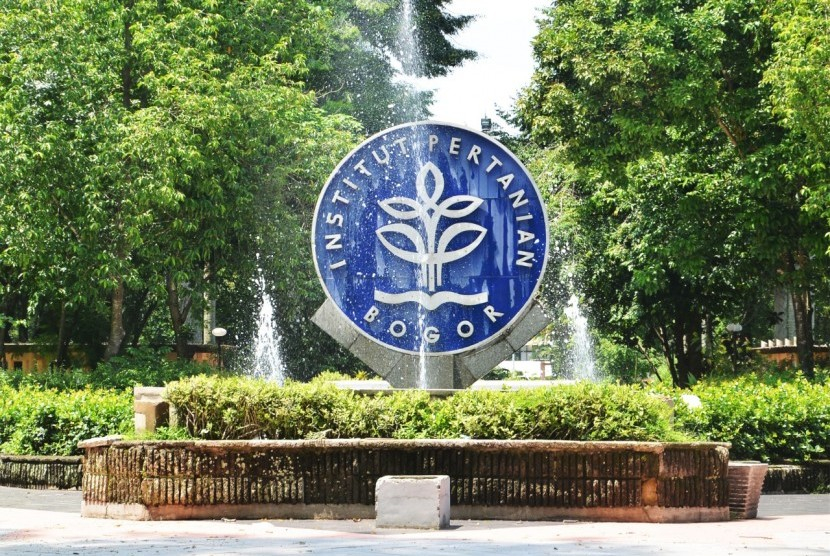 Daya Tampung IPB Terbaru: Prodi Favorit dan Peluang Lolos di SNBT 2025