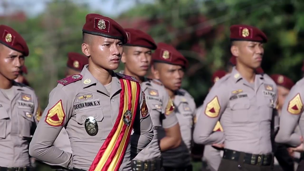 Tips Lulus Seleksi Kedinasan POLRI: Persiapan Administrasi yang Harus Diketahui